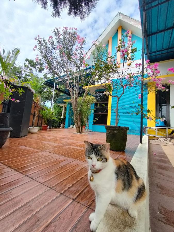 Omah Mendut Homestay Banyuwangi  Exteriér fotografie